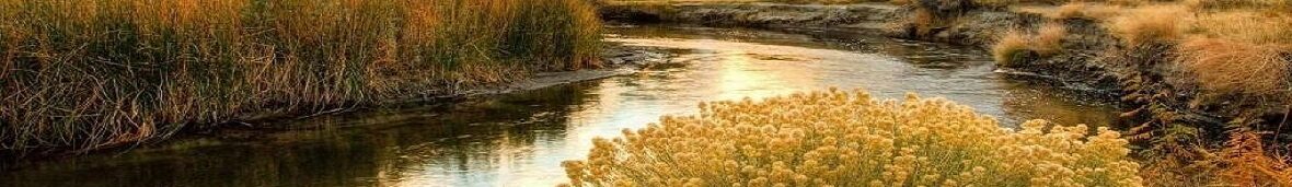 God's Touch Ministry The River's Edge